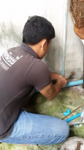 10922025_367124736803886_909240954_n