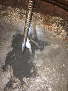 13413556_871543662958073_2958445000010323022_n